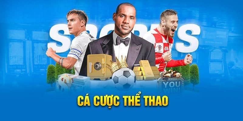 Giới thiệu MKSPORTS về cá cược thể thao