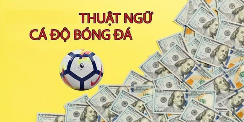 Tổng hợp thuật ngữ cá độ bóng đá phổ biến