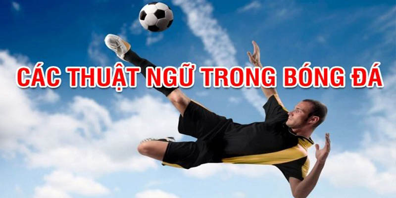 Thuật ngữ cá độ bóng đá về tỷ lệ cược